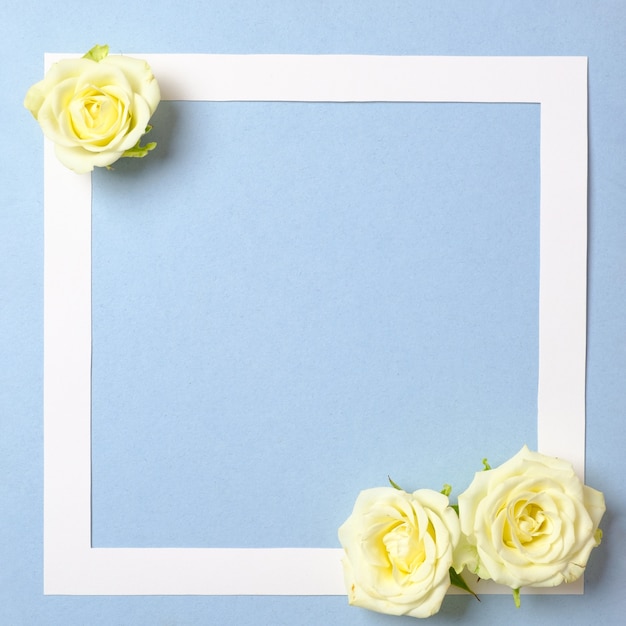 Photo cadre floral avec des fleurs de roses blanches sur fond bleu pastel.