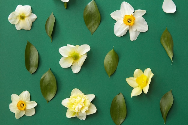 Cadre floral avec des fleurs