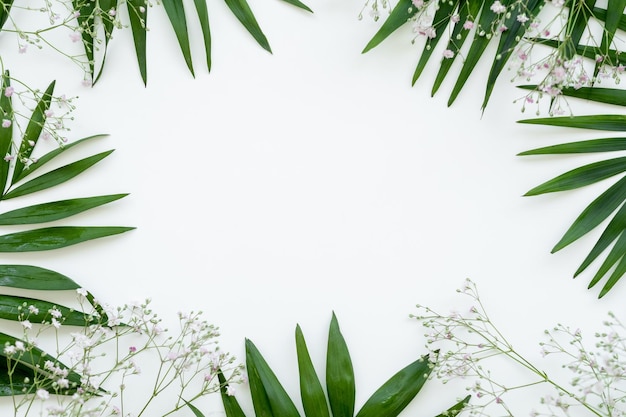 Cadre floral Fond naturel Feuille de palmier vert composition de brin de fleur blanche isolée sur l'espace de copie central rond clair Décor végétal Fond d'écran feuillage Carte de voeux