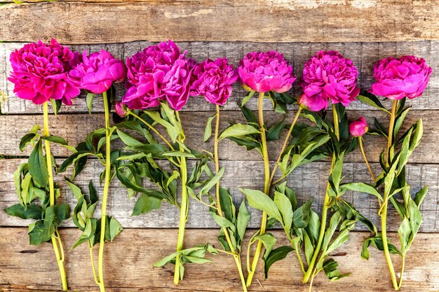 Cadre floral avec pivoines roses sur fond en bois