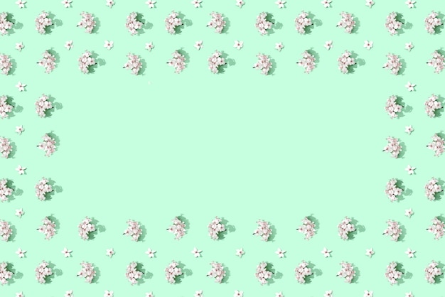 Cadre floral de pommier Fond d'été lumineux Fleurs de fruits blancs de printemps Répétez la texture du printemps Composition de tendance créative De nombreux éléments de printemps Mise en page vierge peut Menthe verte