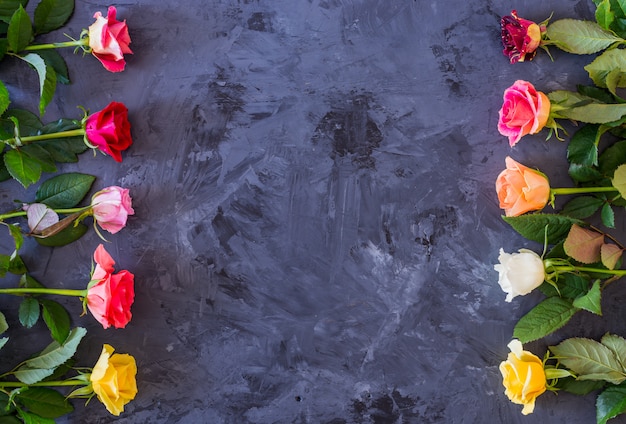 Cadre floral avec des roses colorées sur fond gris / noir, plat poser, vue de dessus