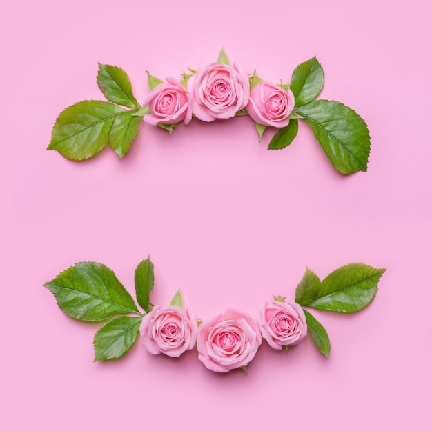 Cadre floral avec des roses roses sur fond rose. Bordure de fleurs. Modèle pour carte d'invitation. Design plat, vue d'en haut