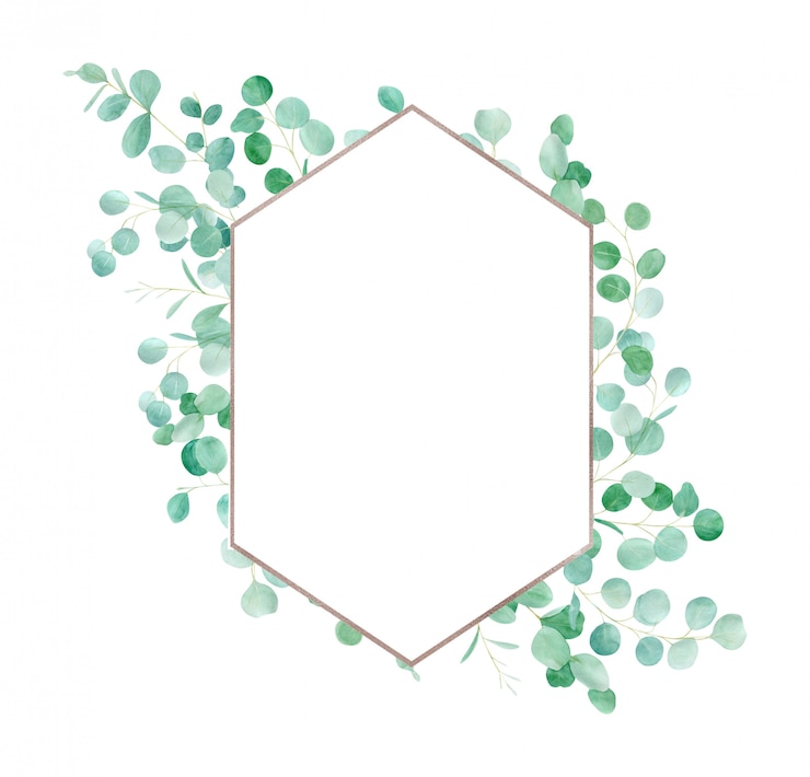 Photo cadre floral vert aquarelle avec eucalyptus