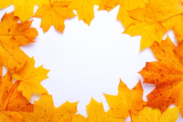 cadre fond de feuilles d'érable automne jaune-orange