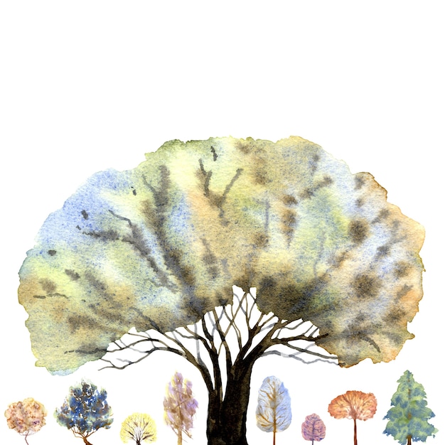 Photo cadre de forêt d'hiver sur fond blanc. arbres multicolores. illustration aquarelle dessinée à la main.