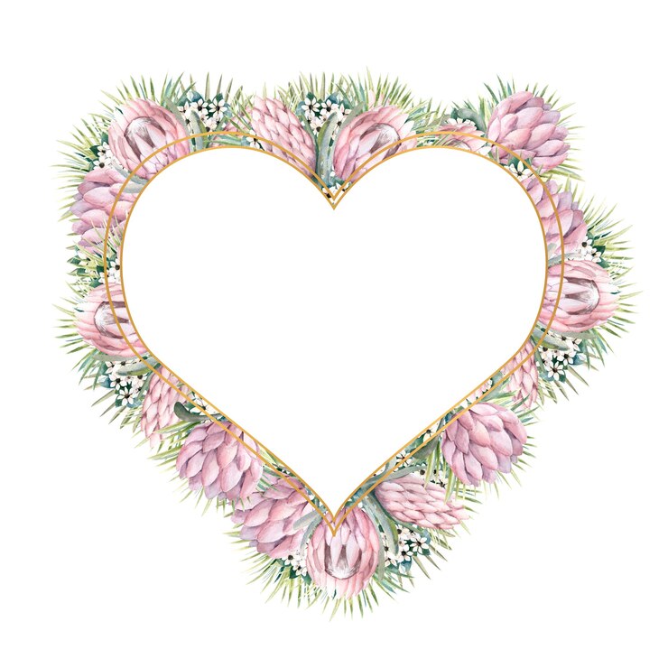 Photo cadre en forme de coeur avec des fleurs de protea
