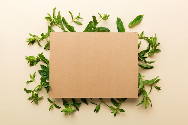 Cadre de guirlande en papier vide vide avec un espace pour le texte et les feuilles de menthe sur fond coloré Motif menthe Mise à plat Vue de dessus