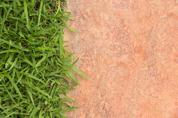 Cadre d&#39;herbe sur le béton orange