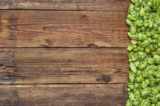 Cadre de houblon sur fond en bois.