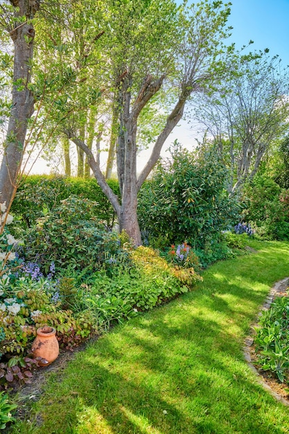 Cadre de jardin vibrant avec des plantes à fleurs et une pelouse luxuriante avec de l'herbe verte Belle cour extérieure ensoleillée lors d'une journée de détente en été Vue sur la nature de grands arbres et de la flore en fleurs dans un parc