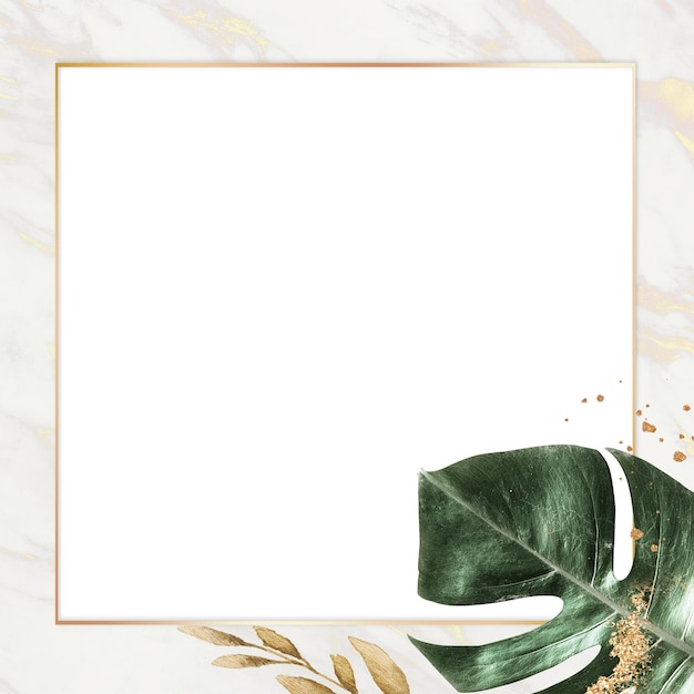 Cadre en marbre png avec doublure dorée et feuille verte
