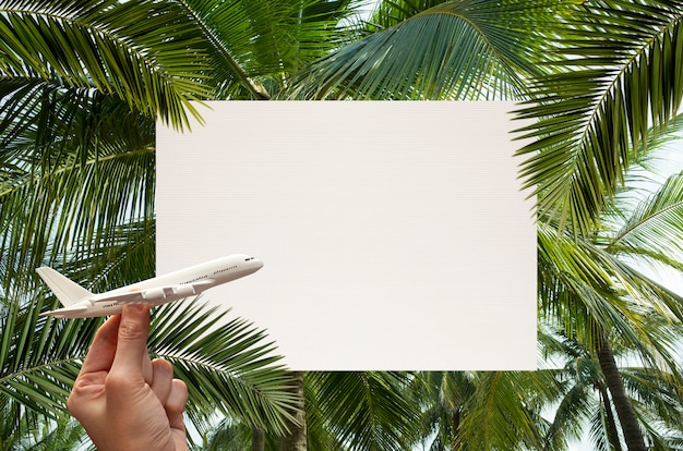 cadre naturel avec des feuilles de noix de coco et avion miniature