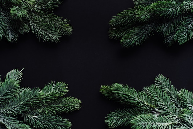 Cadre de Noël. Espace pour le texte entre les branches d'arbres de Noël sur fond noir.