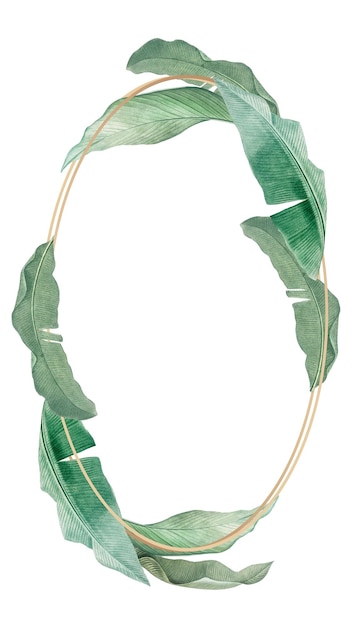 Cadre ovale doré png feuille de banane fond transparent