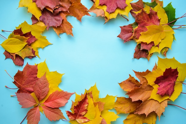 Cadre ovale de feuilles d'automne multicolores lumineuses