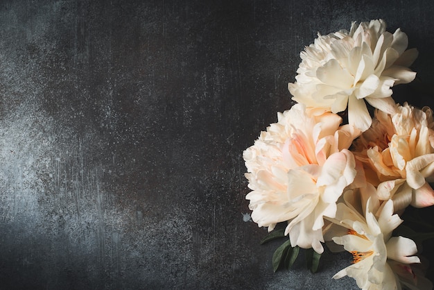 Cadre de pivoines blanches et roses sur fond sombre, carte, espace copie, vue de dessus