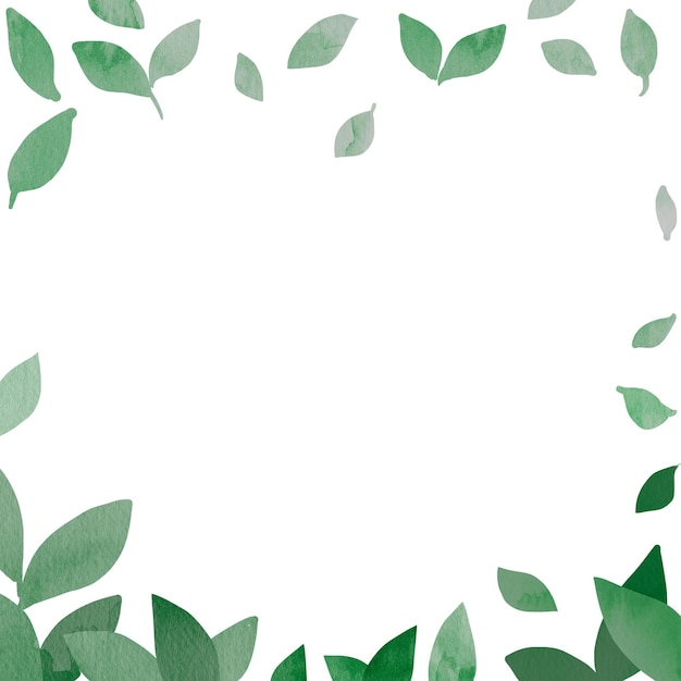 Cadre png avec dessin de feuille