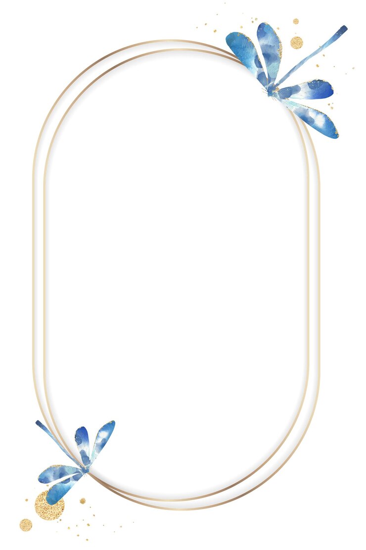 Photo le cadre png de la libellule à fond transparent
