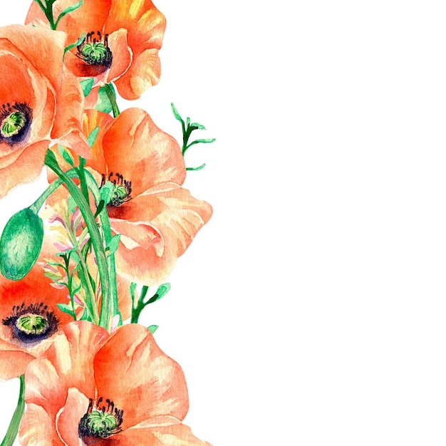 Cadre avec pré fleurs rouges bouquet floral illustration aquarelle isolé