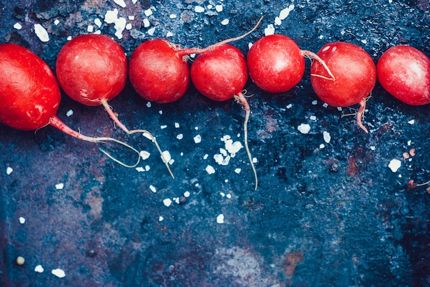 Cadre de radis frais de printemps avec du sel sur fond rustique foncé