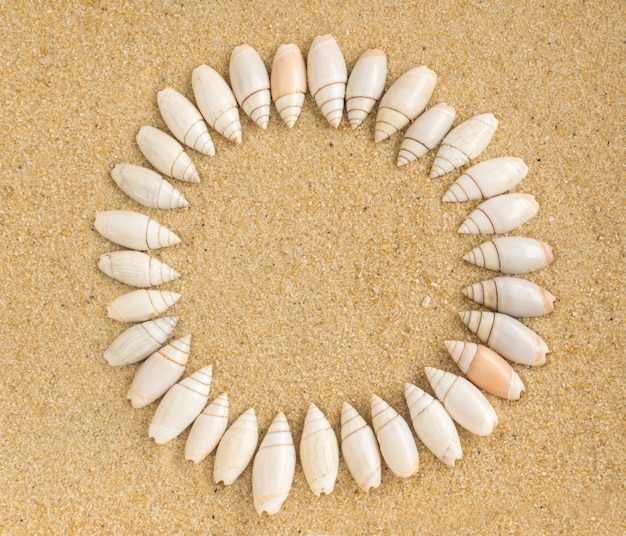 Cadre rond de coquillages sur sable