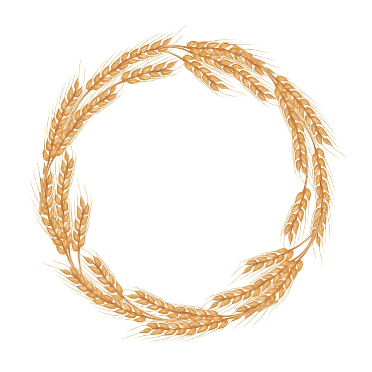 Photo cadre rond couronne de blé, avin, seigle, épices, produits céréaliers, clipart botanique agricole, illustration à l'aquarelle dessinée à la main, fond isolé pour la boulangerie du jour de la récolte de thanksgiving