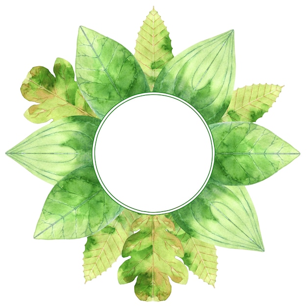 Cadre rond avec des feuilles vertes aquarelle
