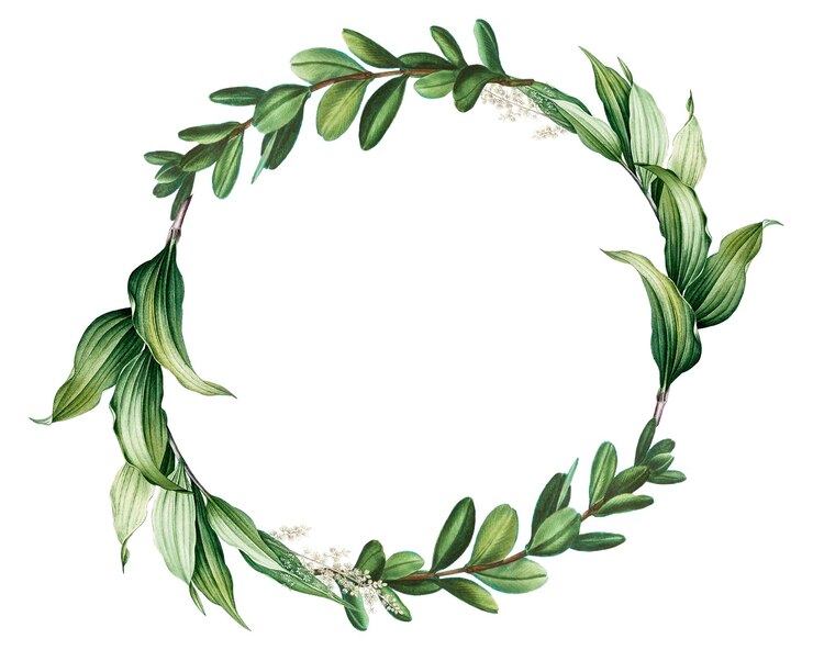 Photo cadre rond png feuille vintage fond transparent