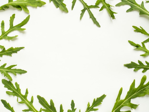 Photo cadre de roquette verte laisse sur fond blanc