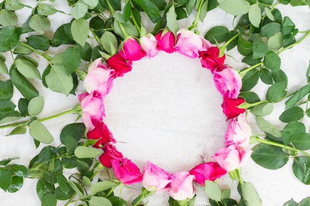 Cadre de roses fraîches rose et mageta sur blanc