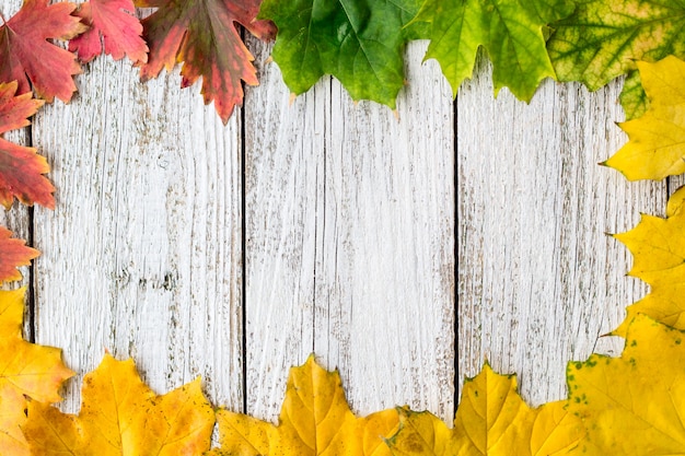 Cadre saisonnier de feuilles d&#39;érable automnal avec dégradé de couleur sur fond en bois blanc