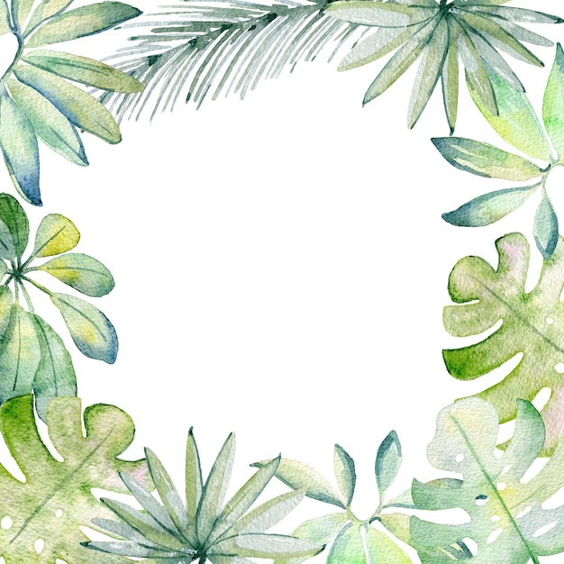 Cadre tropical aquarelle avec des feuilles