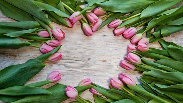 Cadre de tulipes fraîches disposées sur fond de bois