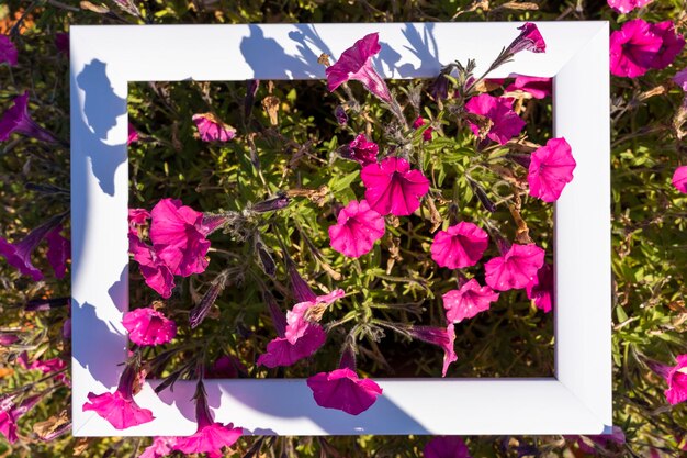 Cadre vide blanc sur fond de verdure et de fleurs roses vue de dessus d'invitation de voeux de vacances