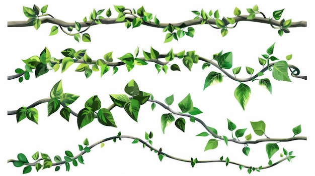 Des cadres de branches tropicales avec des feuilles vertes isolées sur un fond blanc Illustration dessinée de vignes de plantes de la jungle tordues avec du feuillage pour la conception de l'interface utilisateur