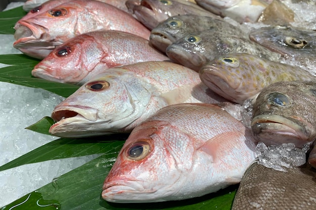 Caesio cuning le redbelly yellowtail fusilier yellowtail fusilier poisson sur supermarché