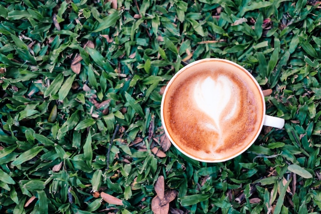 Café au lait en forme de coeur dans une tasse blanche sur l&#39;herbe verte