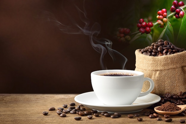 Café chaud avec des grains de café et des graines de café sur fond d'arbre