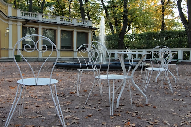 un café dans le parc de la ville d'automne