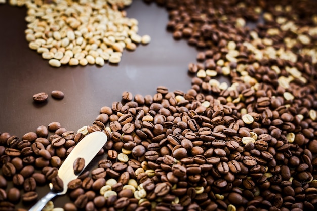 Photo un café expérimenté vérifié torréfaction de grains de café