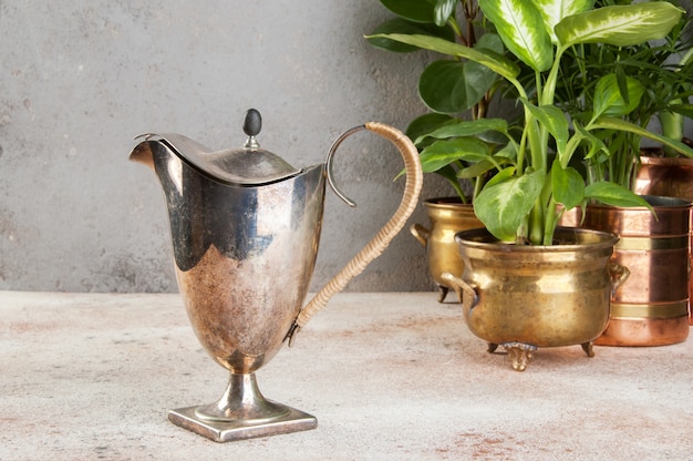 Photo cafetière en métal vintage et plantes vertes