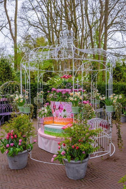 Cage avec des fleurs dans le parc Keukenhof Lisse Holland Pays-Bas