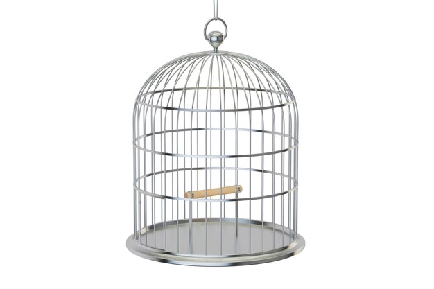 Cage à oiseaux argentée avec rendu 3D à porte fermée