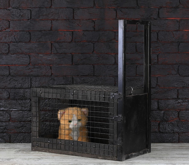 cage de piège à animaux en treillis métallique