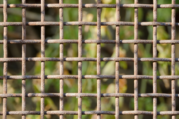 Cage rouillée se bouchent. Fond vert