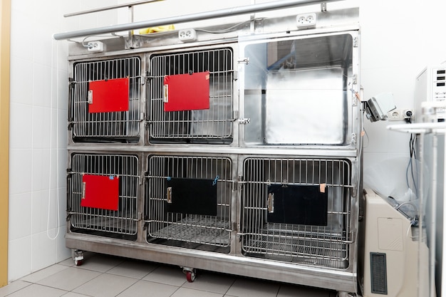 Cages en fer pour animaux dans la clinique vétérinaire