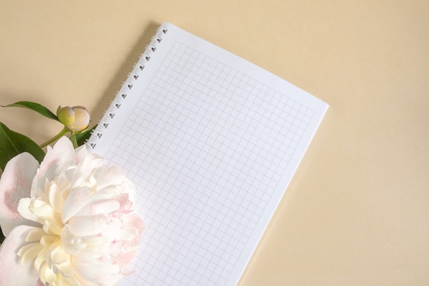 cahier en cage sur printemps et gros bourgeon de pivoine beige sur fond beige