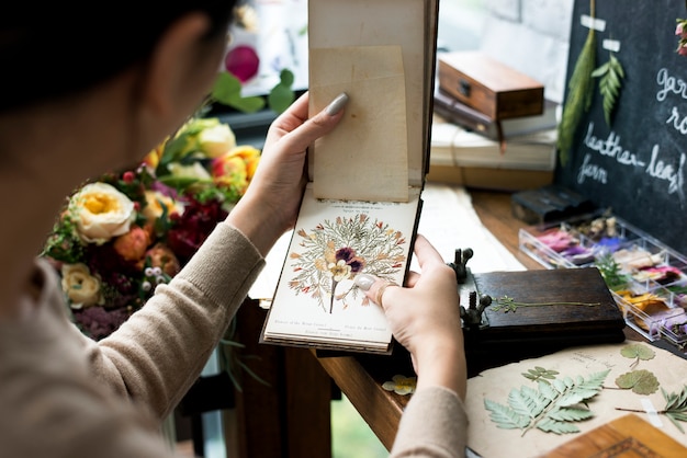 Cahier de collection de plantes tenant des fleurs sèches