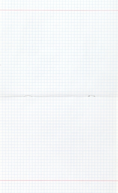 Cahier double page quadrillé